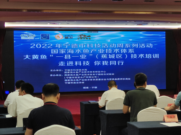 寧德聚力大黃魚(yú)“一縣一業(yè)” 技術(shù)培訓(xùn)與研發(fā)雙輪驅(qū)動(dòng)，引領(lǐng)海水養(yǎng)殖新篇章