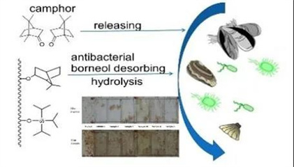 國(guó)家海洋設(shè)施養(yǎng)殖工程技術(shù)研究中心碩士研究生招生 聚焦海水養(yǎng)殖技術(shù)研發(fā)