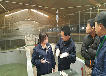 我國(guó)海水養(yǎng)殖技術(shù)新突破 告別'嗑藥'魚(yú)，首個(gè)海水魚(yú)活疫苗投產(chǎn)應(yīng)用