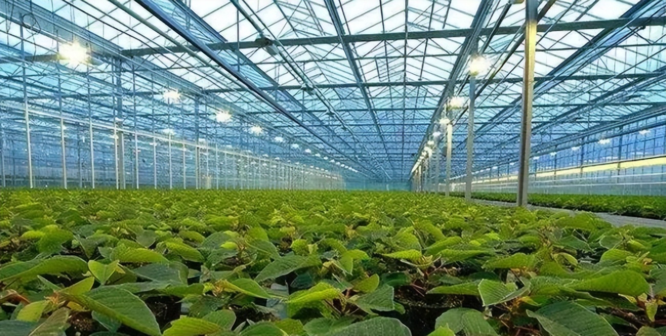 智慧農業八大應用場景之畜牧漁業飼料管理