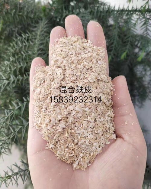 廠家直銷全國發貨 畜牧養殖飼料用小麥麩皮，為雞鴨魚水產牛羊豬養殖提供優質營養