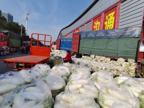 透明包裝下的安心年 光明食品集團春節保供的三重底色